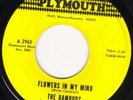 HEAR (Rockin') Ramrods-Flowers In My Mind '67 Boston acid-casualty tripsike WILD