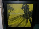 FIRST PRESS Coheed and Cambria THE SECOND STAGE TURBINE BLADE Framed Prog Rock