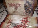 The Devil's Blood - Come, Reap mLP 1st Press + Poster Watain Black Widow Coven