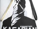 KASABIAN - Processed Beats Demo RARE FLAG SLEEVE 10 inch vinyl MINT LIMITED 1000