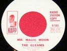 THE GLEAMS 