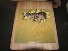 VISION OF SUNSHINE s/t - Xian Psych Rock Folk LP NM US Original