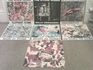 The Stone Roses 12 inch Vinyl