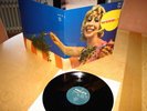 LP - Weed - Same / Weed - Weed /   Reissue - Mint Copy