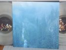 Wolves In The Throne Room - Diadem Of 12 Stars lim. 2 LP / clear Vinyls rare oop