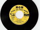 RARE ERIC BURDON & THE ANIMALS - SKY PILOT PROMO 45RPM