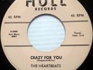 THE HEARTBEATS 45 Crazy For You HULL label DOO WOP