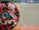 Yeah Yeah Yeahs Fever to Tell Pic Disc LP RARE