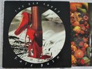 KATE BUSH THE RED SHOES