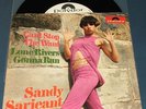 Sandy Sarjeant - Can't Stop The Want Freak-Beat Beat-Club Gogo Girl