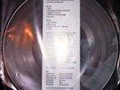 Kirlian Camera - Todesengel The Fall Of Life (Limited Picture Disc)