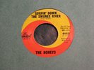 Beach Boys -  Honeys    Surfin' Down the Swanee  stock 45