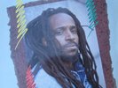 LP / LITTLE ROY / PROPHECY