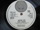 DADDY LONGLEGS oakdown farm ORIGINAL VERTIGO UK SWIRL