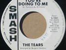 The Tears - What You're Doing to Me -Smash 1981- Northern Soul -Listen