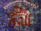 The Fall - Reformation Post TLC - Vinyl 2LP - Mint condition - unplayed