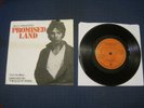 BRUCE SPRINGSTEEN IRISH 7