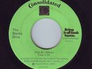 RARE FUNK-CROSSOVER SOUL 45-BANKS BROS.-BRING IT ALL BACK HOME-CONSOLIDATED-HEAR