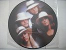 VINYL PICTURE DISC 