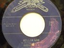 FUNK NORTHERN 45-MARVELLE & THE BLUE MATS-THE DANCE CALLED THE MOTION-BREAK