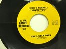 /OBSCURE GARAGE 45 - THE LIVELY ONES - LITTLE STAR - NANCY RECORDS