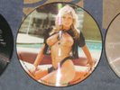 3 Samantha Fox Picture Discs