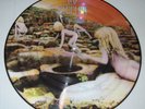 LED ZEPPELIN HOUSES OF THE HOLY LTD EDITION PICTURE DISC MINT UNPLAYED CONDITION