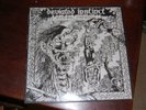 DEVIATED INSTINCT ROCK AND ROLL CONFIRMITY 33T VINYLE METAL RARE