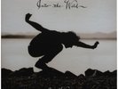 EDDIE VEDDER - INTO THE WILD LP Limited Edition Vinyl w/ Bonus 7