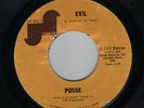 POSSE - EVIL (JANUS) LISTEN
