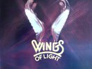 Wings of Light RARE PRIVATE MODERN SOUL BOOGIE FUNK GOSPEL W/LYRIC SLEEVE