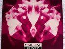MARLENE KUNTZ - IL VILE