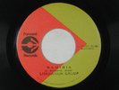 LIBERATION GROUP jazz/reggae 45 NAMIBIA/VERSION FORWARD RECORDS M-