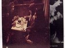 LP CHICKEN SHACK accept BLUE HORIZON RECORDS, FOC,  TOP ZUSTAND