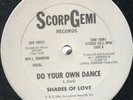 Shades Of Love - Do Your Own Dance - Original Press Rare Disco 12 Inch