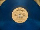 Beach Boys autographed (w/Brian) 12