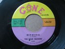 The Four Seasons 45 RARE Bermuda Gone Lbl.