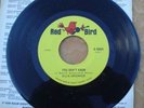 Ellie Greenwich * You Don't Know / Baby - 1965 Cdn Red Bird 45  Mint