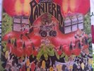 PANTERA PROJECTS IN THE JUNGLE  PERFECT