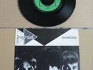 PINPOINT - Richmond b/w Love Substitute - Albion Records 1979 Arturo the LURKERS