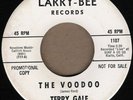 45 WI GARAGE MOD FUZZ TERRY GALE The Voodoo/Just 15 LARRY BEE HEAR