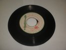 GIANT/GUIDING STAR - THE HEPTONES [REGGAE] 7