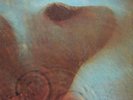 Pink Floyd(Vinyl LP Gatefold)Meddle-UK-SHVL 795-Harvest-Ex/Ex