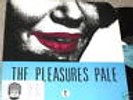 THE PLEASURES PALE LP RARE PRIVATE 80s INDIE ROCK AOR