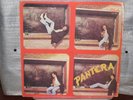 PANTERA same RARE SALSA GUAGUANCO COKADA LP VENEZUELA