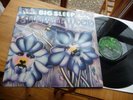 BIG SLEEP BLUEBELL WOOD 1971 MINT TOP RARITY