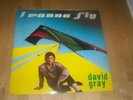 DAVID GRAY I Wanna Fly RARE 12