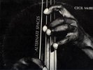 CECIL MCBEE ALTERNATE SPACES INDIA NAVIGATION