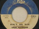 LEON HAYWOOD Ain't No Use RARE NORTHERN SOUL 45 Fat Fish MP3