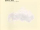 BUILT TO SPILL- THERE'S NOTHING WRONG WITH LOVE VINYL LP RARE